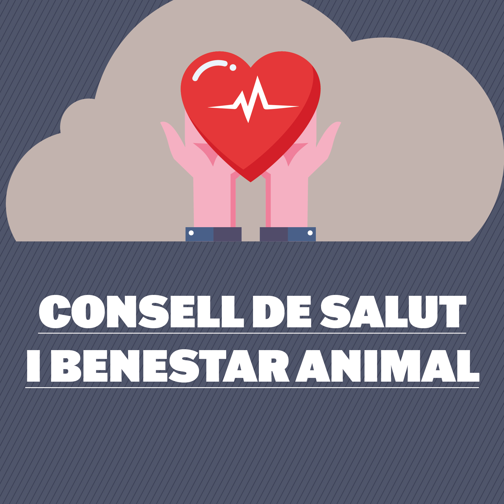 Media picture: Consell Municipal de Salut i Benestar animal